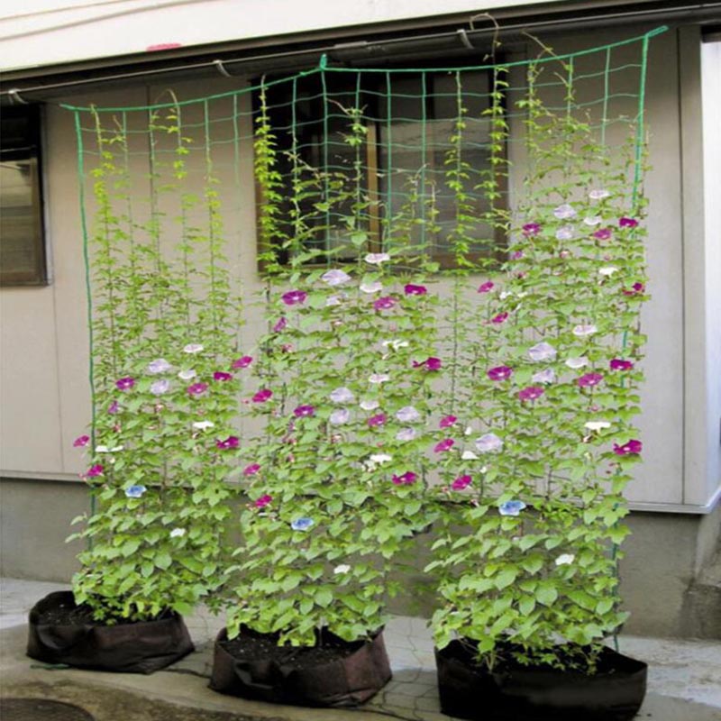 Plant Support Trellis Netting Climbing - 4 Sizes Garden Plant Climbing Net