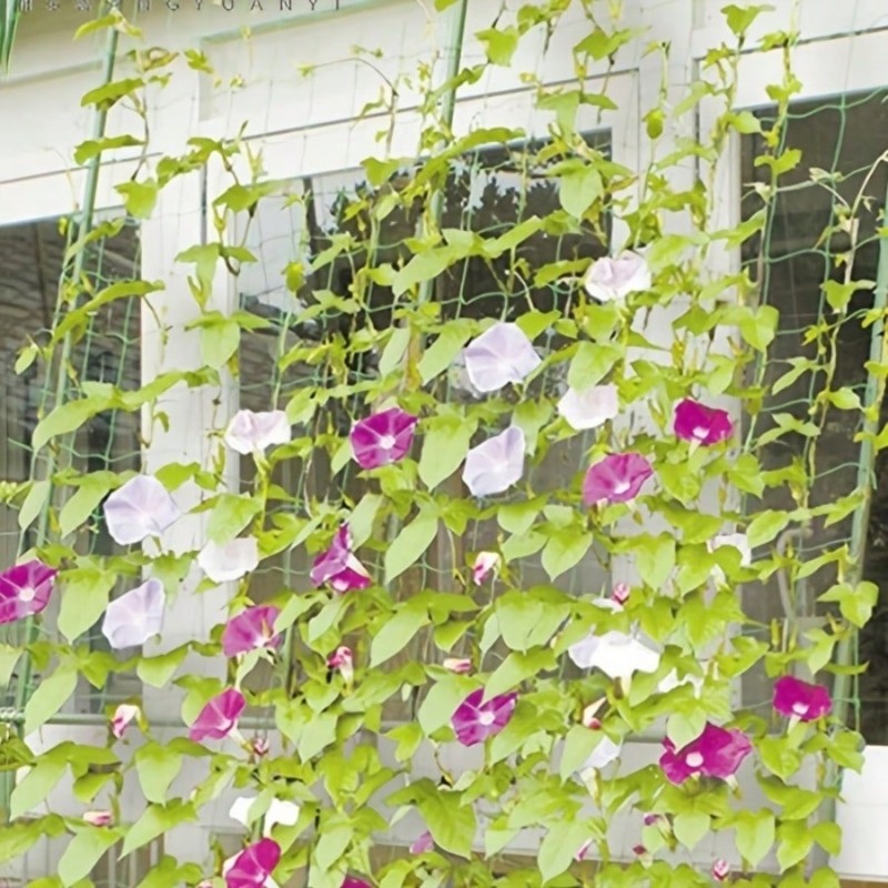 Durable Plant Support-2.7X1.8M - огляд і ціна Plant Support Trellis Netting Climbing