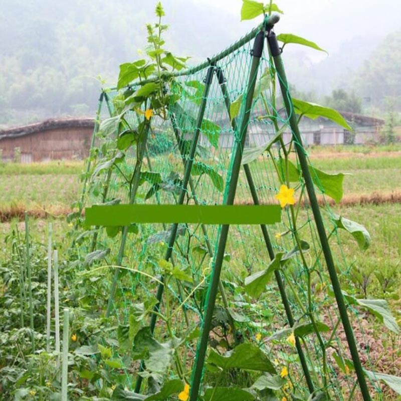 4 Sizes Garden Plant Climbing  - огляд і ціна Plant Support Trellis Netting Climbing