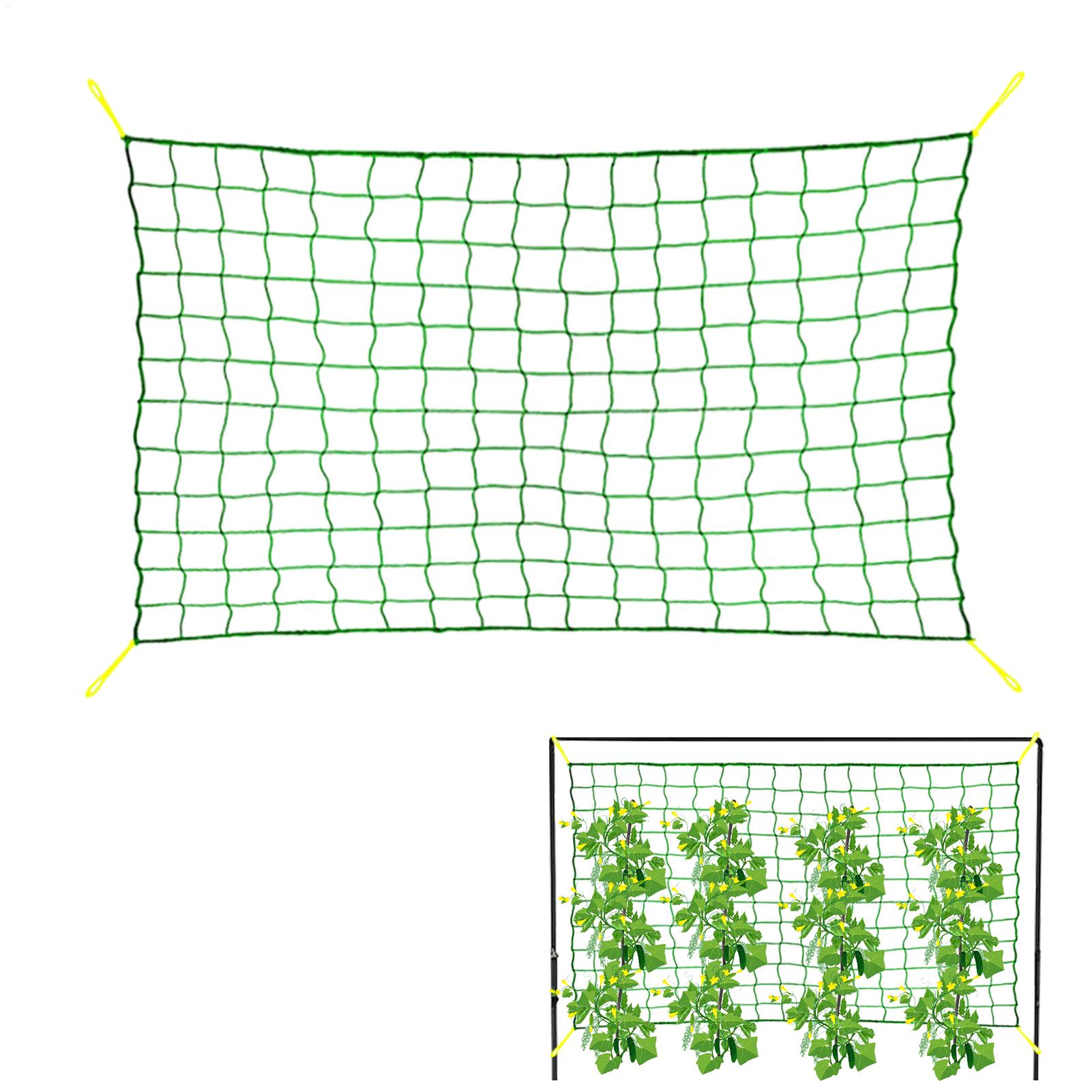 Plant Climbing Net Tree Nettin - огляд і ціна Plant Support Trellis Netting Climbing