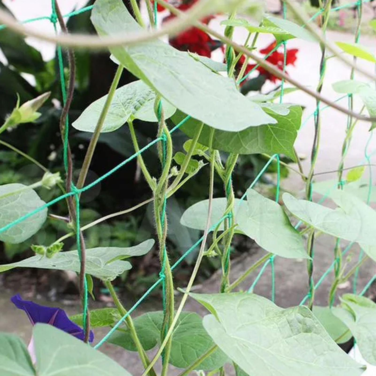 Plant Climbing Net Tree Nettin - огляд і ціна Plant Support Trellis Netting Climbing