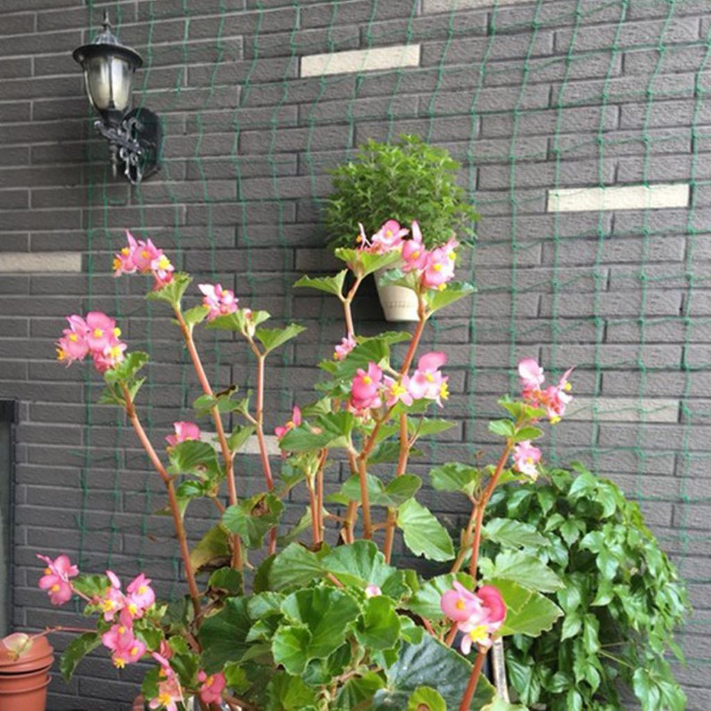 Reusable Nylon Plant Trellis N - огляд і ціна Plant Support Trellis Netting Climbing