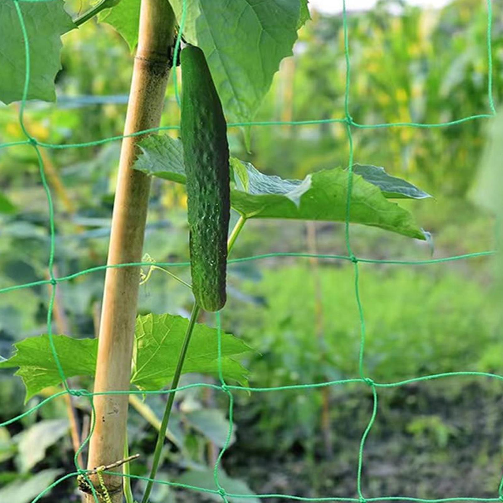 Plant Trellis Netting Net 9-st - огляд і ціна Plant Support Trellis Netting Climbing