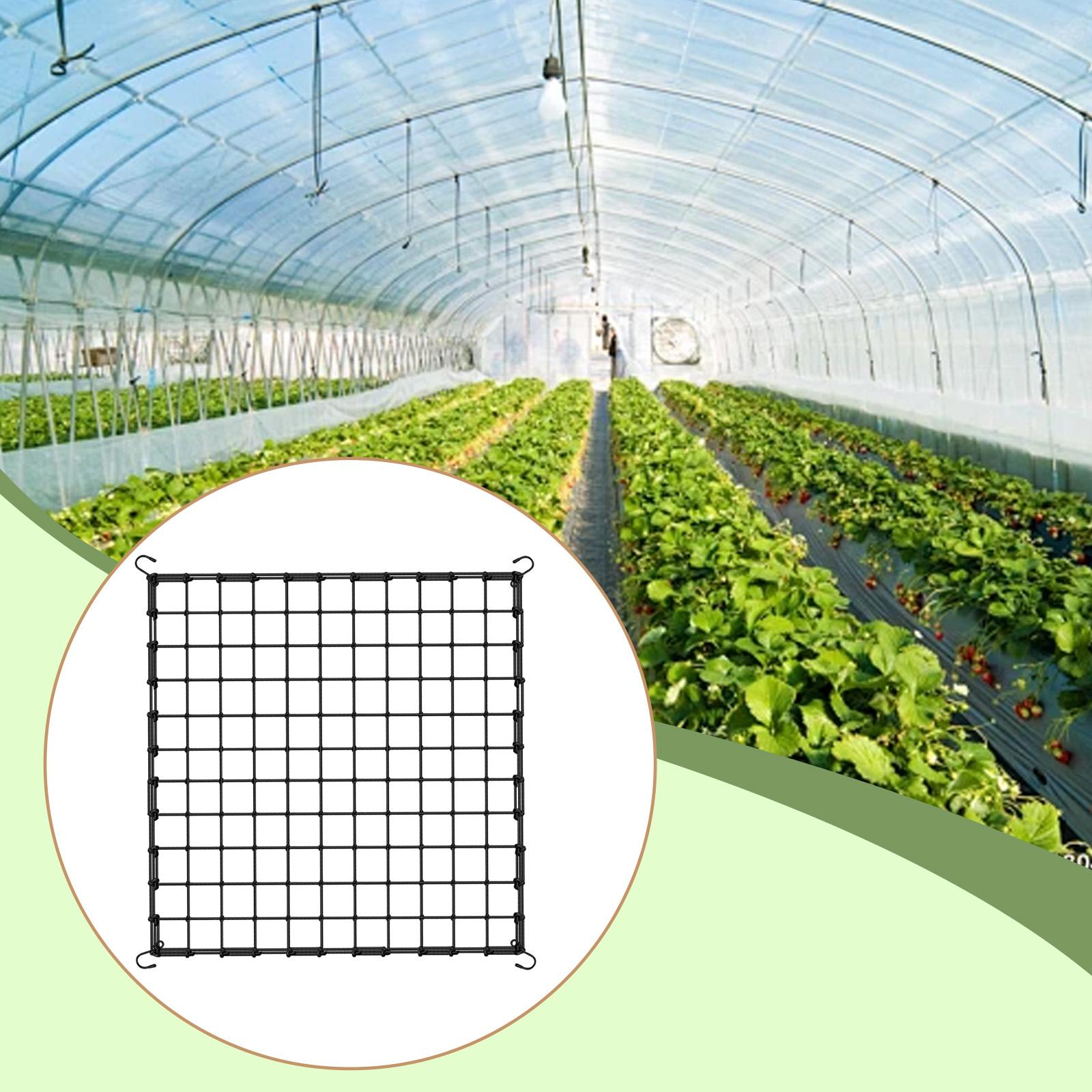 Elastic Trellis Netting for Cl - огляд і ціна Plant Support Trellis Netting Climbing