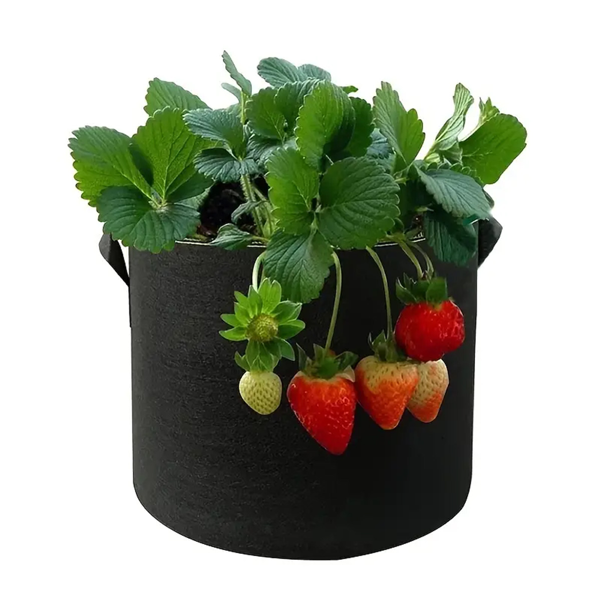 5PCS Felt Grow Bags 5/10/15 Ga - огляд і ціна Plant Nursery Grow Bags Fabric 5 Gallon